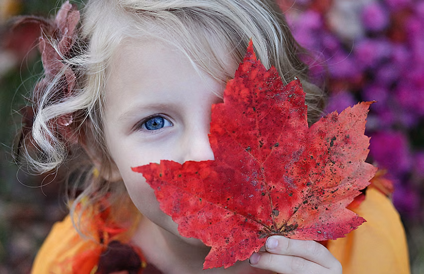 Natural Oils for Boosting Children’s Immunity – Effective Protection Against Illnesses and Viruses