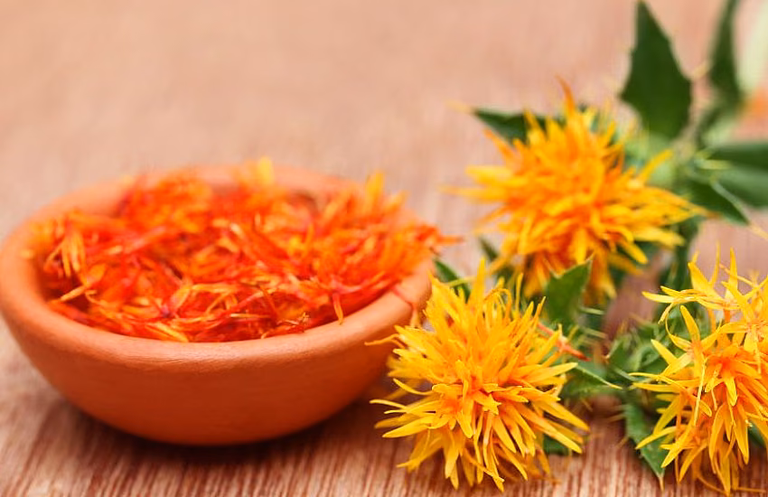 Safflower – properties, uses, and health benefits