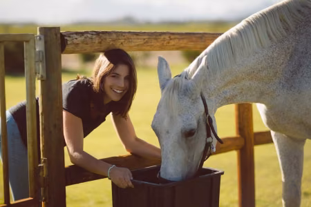Oil Cake  in Horse Feeding: A Natural Way to Enhance Feed Nutritional Value in 2025